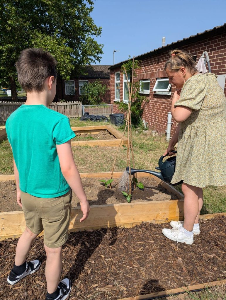 An adult and a child water a young plant in a raised garden bed on a sunny day. The child watches as the adult pours water from a watering can, with other raised beds, woodchip paths and a brick community building in the background.