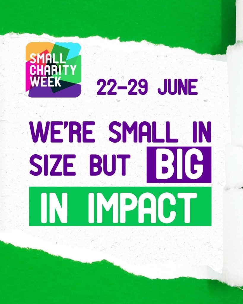 Small Charity Week graphic with a green and white torn-paper style background. The Small Charity Week logo appears at the top with the dates “22–29 June.” Large purple and green text reads: “We’re small in size but big in impact.”