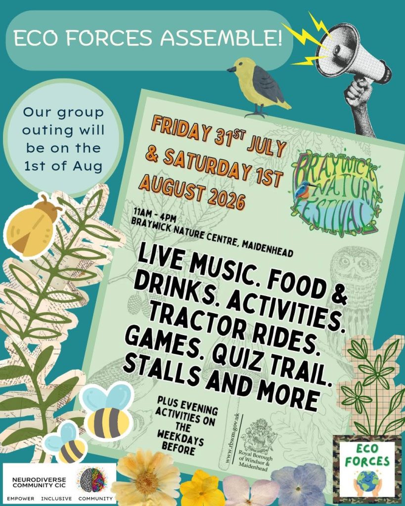 Eco Forces promotional graphic announcing a group outing to Braywick Nature Festival on 1 August. The design has a teal nature-themed background with leaves, flowers, bees, a bird and a megaphone. A festival poster says the event takes place Friday 31 July and Saturday 1 August 2026, 11am–4pm at Braywick Nature Centre, Maidenhead, with live music, food and drinks, activities, tractor rides, games, a quiz trail, stalls and more. NeuroDiverse Community CIC and Eco Forces logos appear at the bottom.