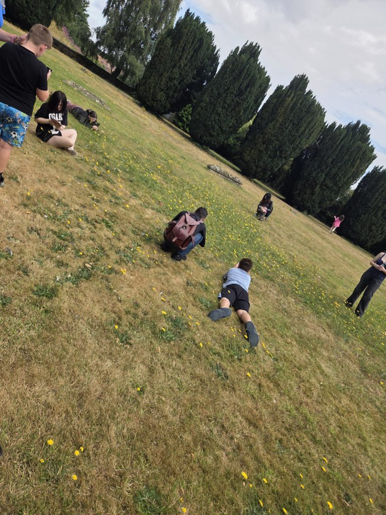 Children and young people spread across a grassy field, crouching and lying down to photograph small yellow wildflowers with their phones.