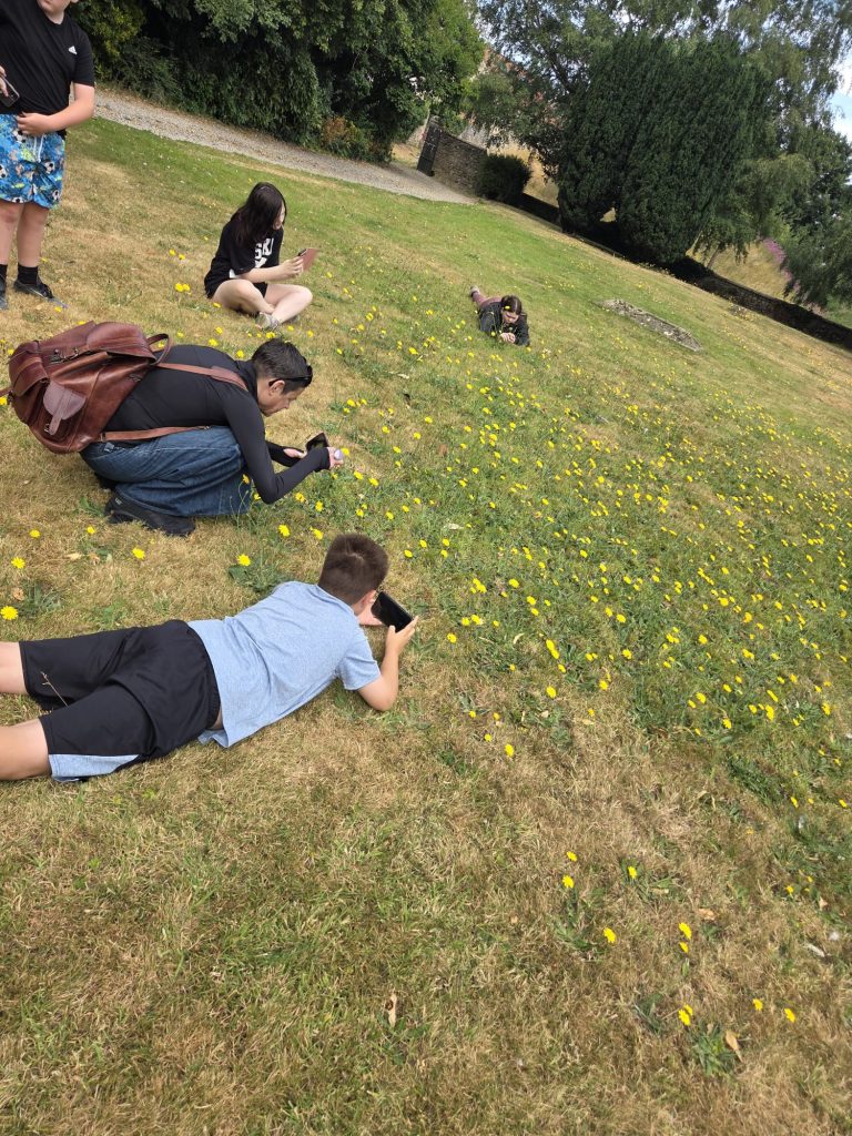 Children, young people and an adult kneel or lie on the grass, using their phones to take close-up photographs of yellow wildflowers.