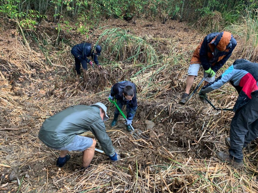 Volunteers and a child using garden forks, spades and other tools to remove dense vegetation and debris during a hands-on pond restoration project in a wooded area.